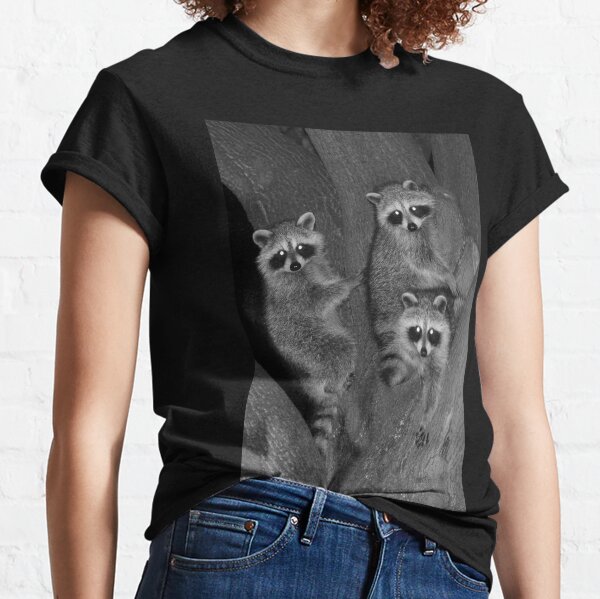 Three Baby Raccoons Classic T-Shirt