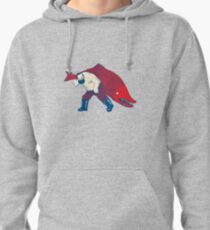 Big Fish Pullover Hoodie