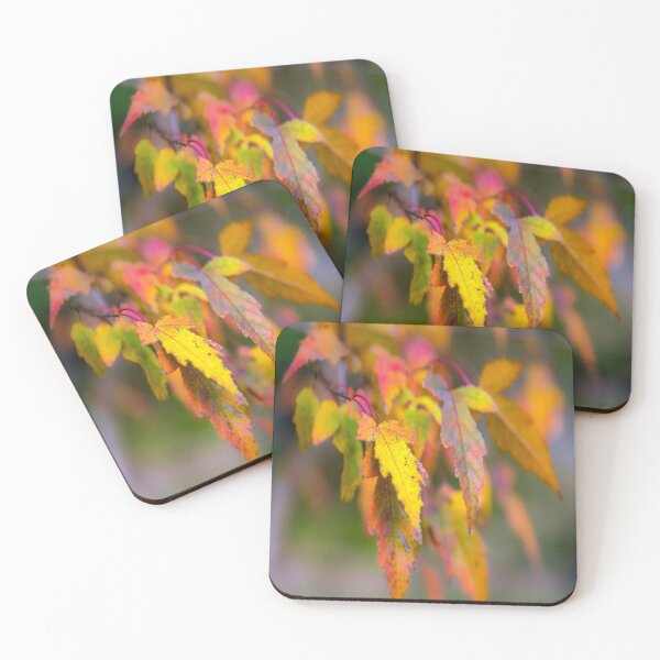 Item preview, Colors of Fall designed and sold by JohnDSmith.