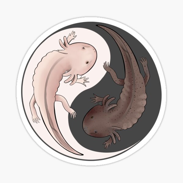 Vista previa del artículo con la obra «Ajolote Yin Yang», diseñado y vendido por Doombucket.