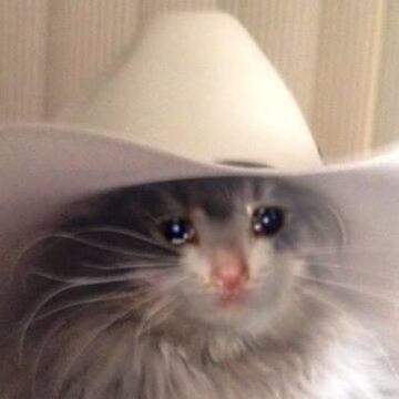 Sad Cat Cowboy Hat Sad Cat Cowboy Hat