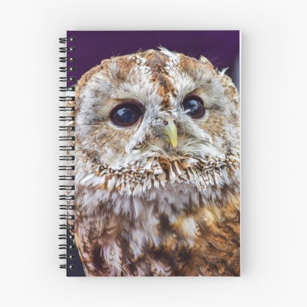Item preview, Tawny Owl designed and sold by InterestingImag.
