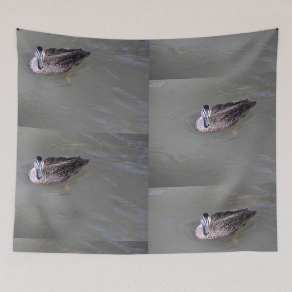 Item preview, 20190902 Duck, Mildura, Vic. designed and sold by muz2142.