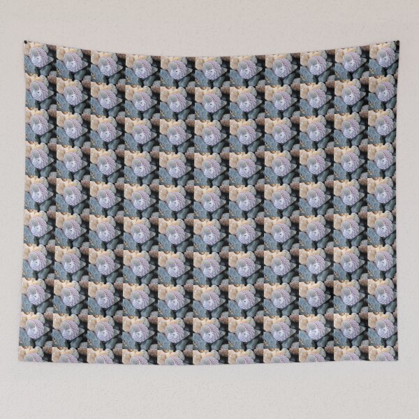 Item preview, shell designed and sold by KathleenDawson.