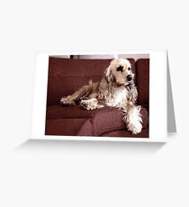 Babe Greeting Card