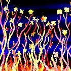 Flowers - Stand Tall by Linda Callaghan