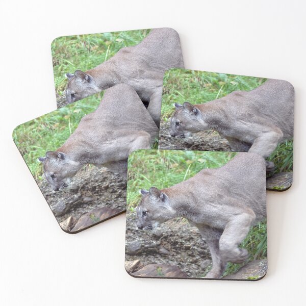 Item preview, Puma concolor designed and sold by Mythos57.