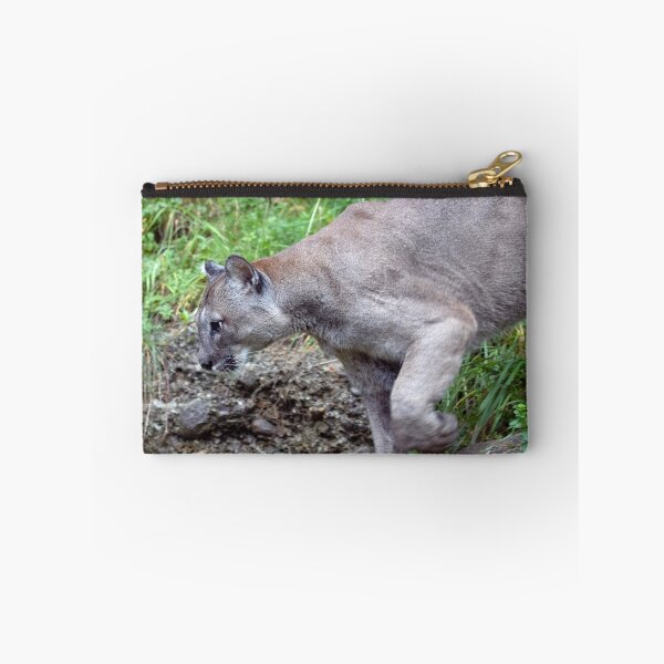 Artikelvorschau, Puma concolor entworfen und verkauft von Mythos57.