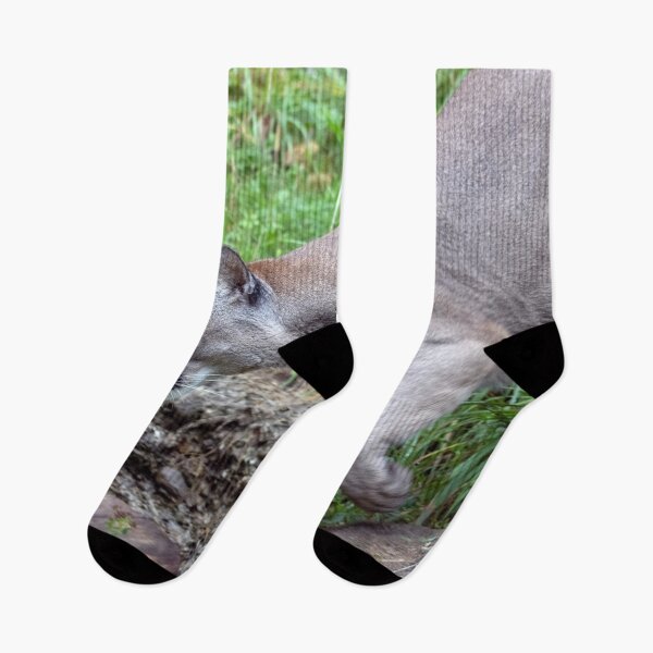 Item preview, Puma concolor designed and sold by Mythos57.