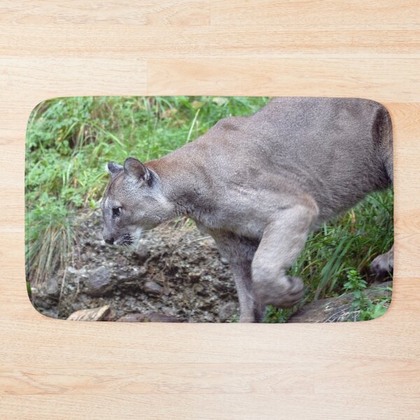 Item preview, Puma concolor designed and sold by Mythos57.