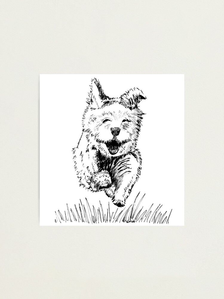 Alternate view of Follow your Nose - Wall Art Photographic Print