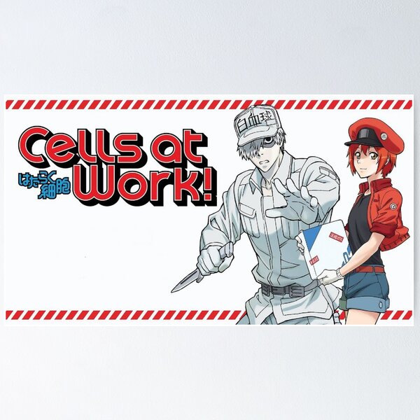 Cells at Work (Hataraku Saibou) Anime Fabric Wall Scroll Poster (16x22)  Inches [A] Cells At Work-7