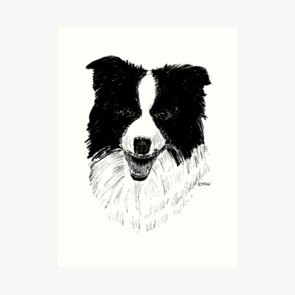 Border Collie - Wall Art Art Print