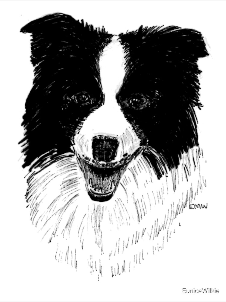 Border Collie - Wall Art by EuniceWilkie