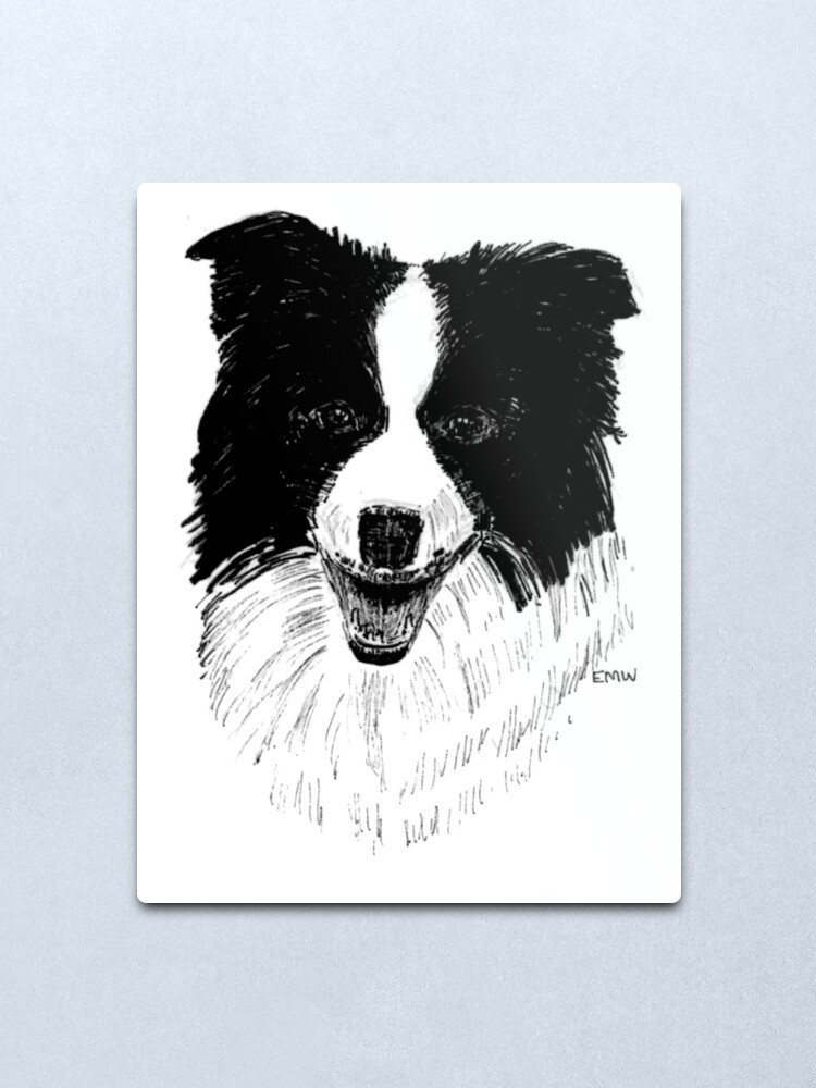 Alternate view of Border Collie - Wall Art Metal Print