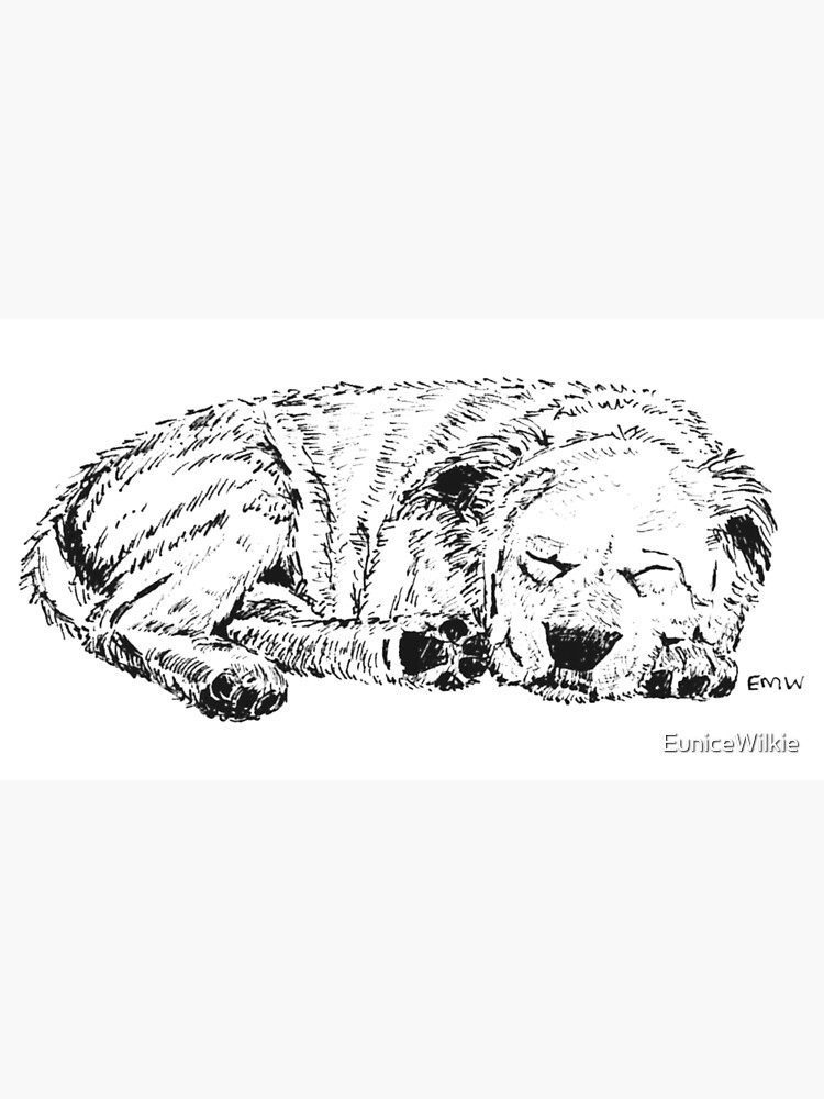 Let Sleeping Dogs Lie - Wall Art by EuniceWilkie