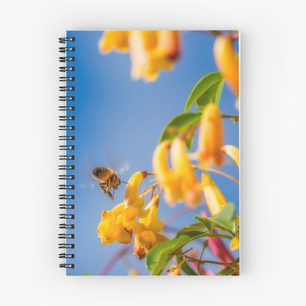 Item preview, Busy Bee designed and sold by Allport Photography.