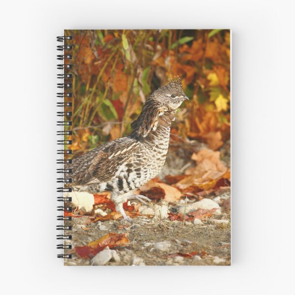 Item preview, Ruffed Grouse designed and sold by Enola Gay Wagner.