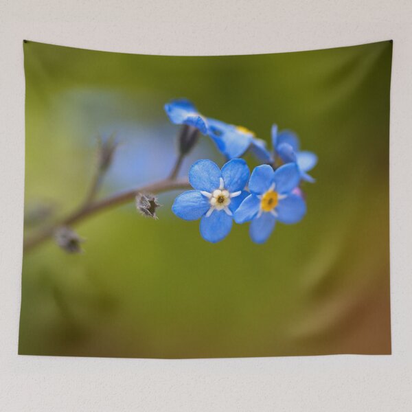 Item preview, Tiny As Forget Me Not Flowers designed and sold by Joy Watson - Natural Light Photography .