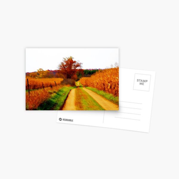 Apple River Road Postcard