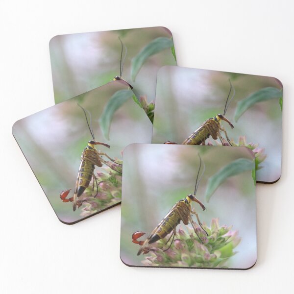 Item preview, Weird and Wonderful designed and sold by cuprum.