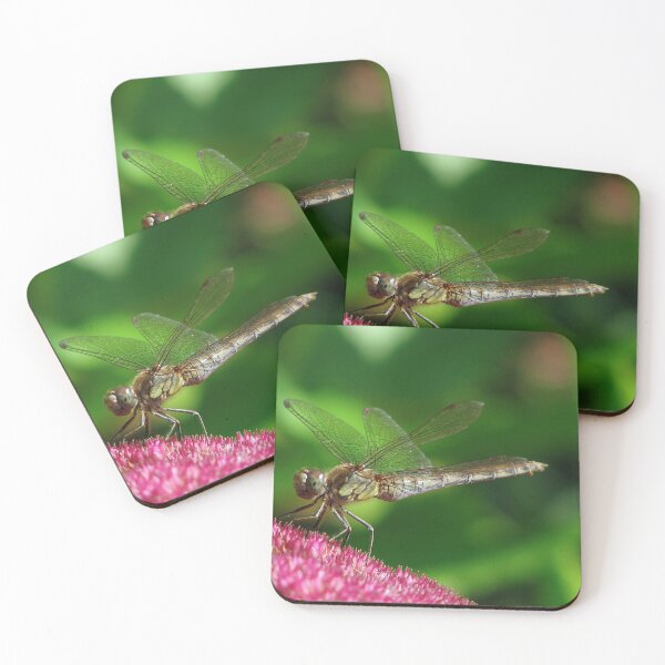 Item preview, Enjoying the weather designed and sold by Sharon Perrett.