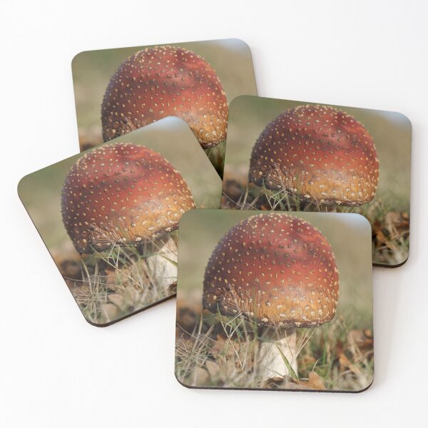 Item preview, Fly agaric designed and sold by cuprum.