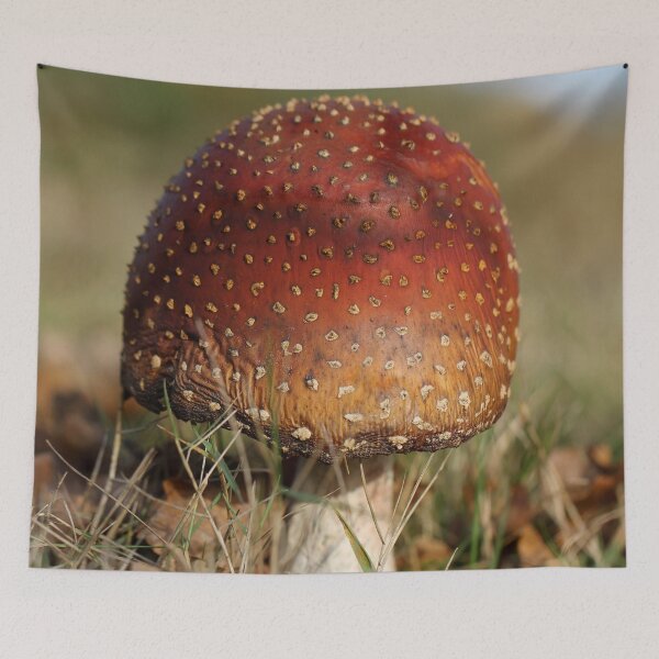 Item preview, Fly agaric designed and sold by cuprum.