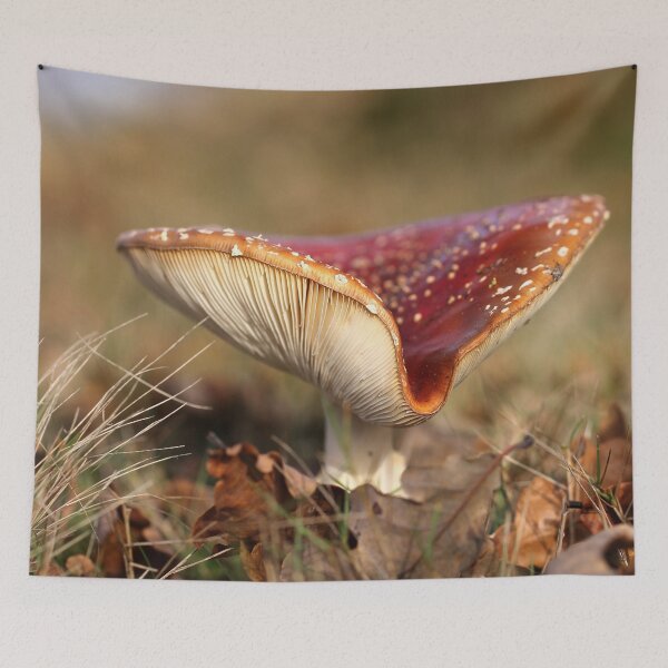 Item preview, Tricorne designed and sold by cuprum.