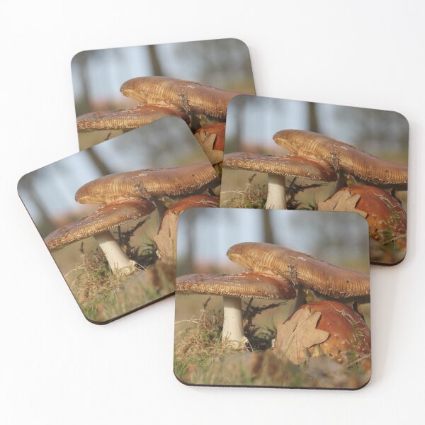 Item preview, Fly agaric threesome designed and sold by cuprum.