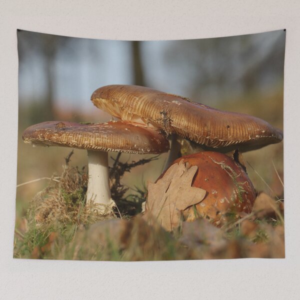 Item preview, Fly agaric threesome designed and sold by cuprum.