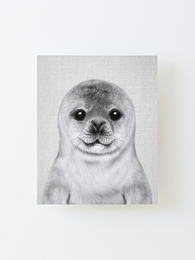 Impression Montee Bebe Phoque Noir Et Blanc Par Galdesign Redbubble Impression Montee Bebe Phoque Noir Et Blanc Par Galdesign Redbubble