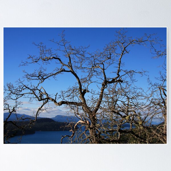 Item preview, Treetop View designed and sold by Terrill Welch.