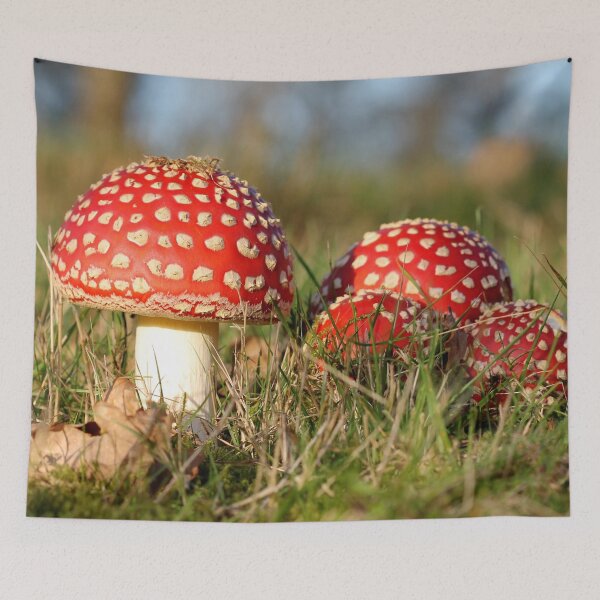 Item preview, Fly agaric designed and sold by cuprum.
