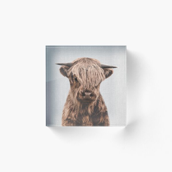 Item preview, Highland Becerro - Colorido designed and sold by galdesign.