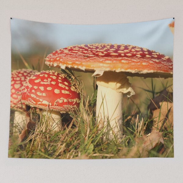 Item preview, Fly agaric designed and sold by cuprum.
