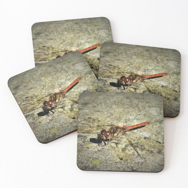 Item preview, Cute Dragonfly Close Up designed and sold by realdorypanda.