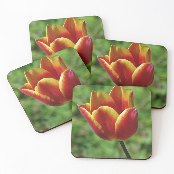 Item preview, A Tulip designed and sold by Sharon Perrett.