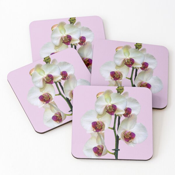 Item preview, Beautiful White Phalaenopsis Orchid designed and sold by Frank  Irwin.