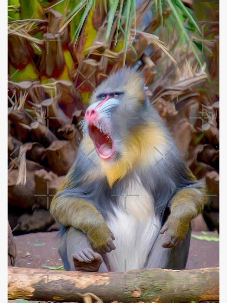 Magnificent Mandrill IV (digital painting) by RayW