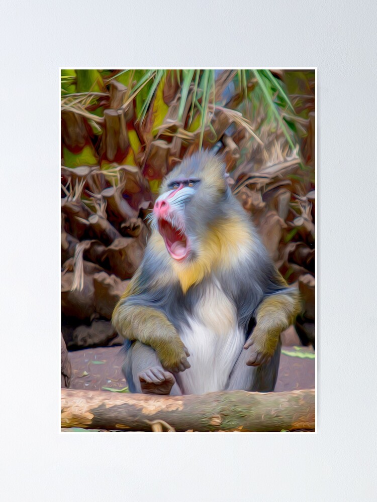 Alternate view of Magnificent Mandrill IV (digital painting) Poster