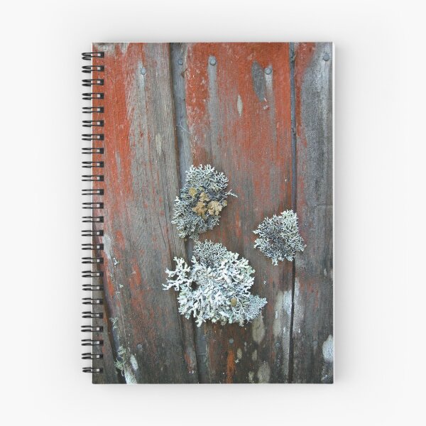 Item preview, The lichen covered walls of Waldheim, Cradle Mountain, Tasmania, Australia. designed and sold by kaysharp.