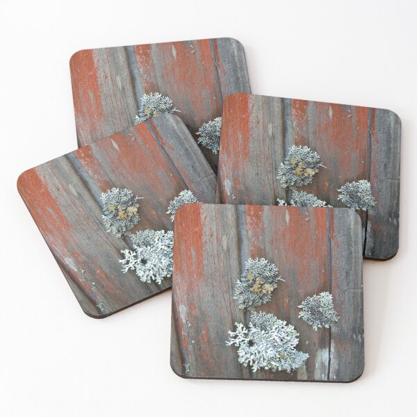 Item preview, The lichen covered walls of Waldheim, Cradle Mountain, Tasmania, Australia. designed and sold by kaysharp.