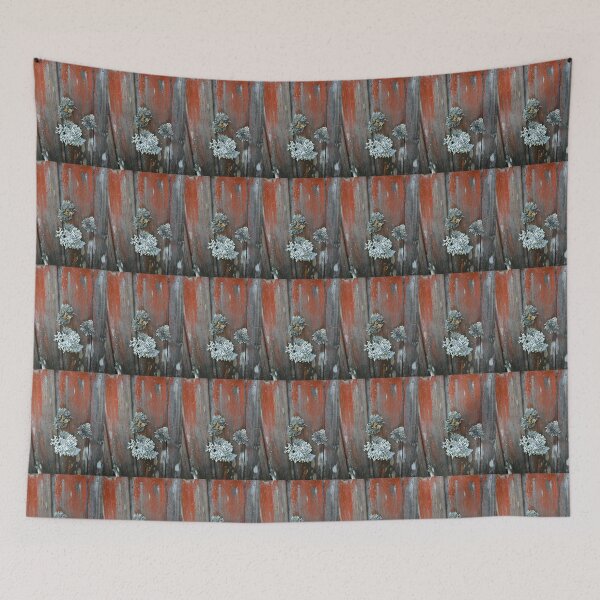 Item preview, The lichen covered walls of Waldheim, Cradle Mountain, Tasmania, Australia. designed and sold by kaysharp.