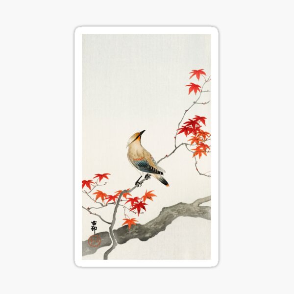 Japanese plague bird on maple Sticker