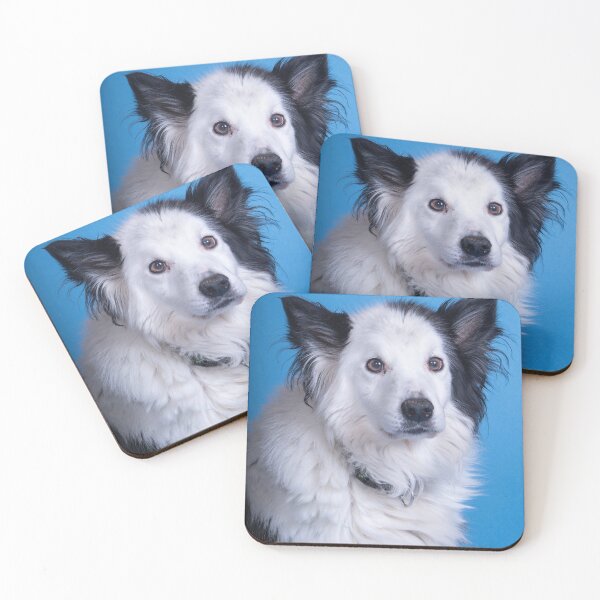 Item preview, Welsh Border Collie Long Hair  designed and sold by Darren Wilkes.