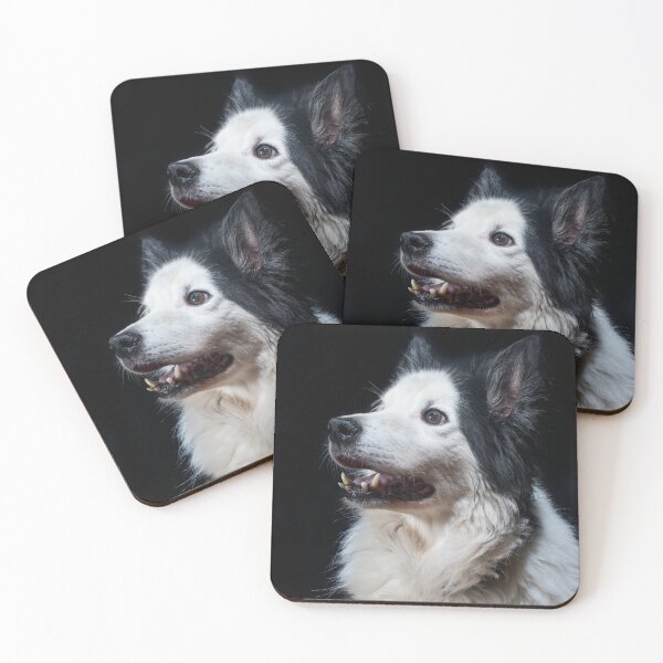 Item preview, Border Collie On Black designed and sold by Darren Wilkes.