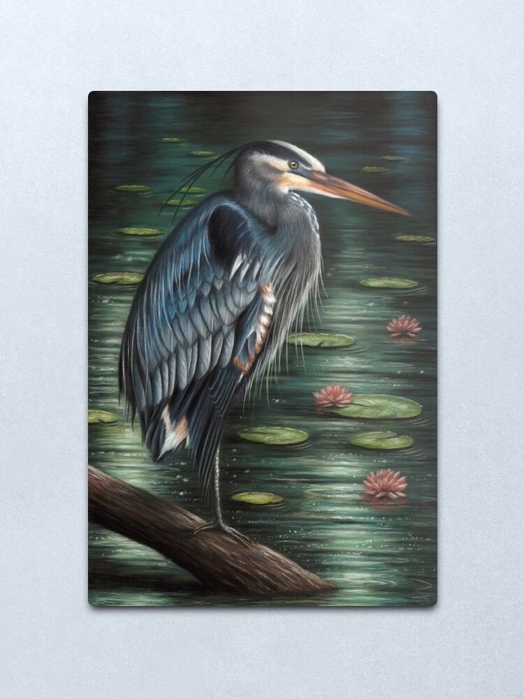 Alternate view of Portrait of a Great Blue Heron Metal Print