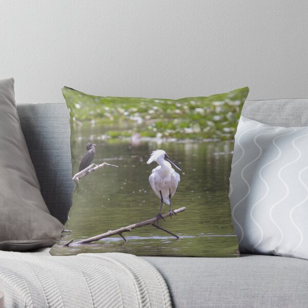 Aperçu de l'œuvre Royal Spoonbill créée et vendue par inthewild.