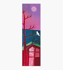 Moon Gazer Photographic Print